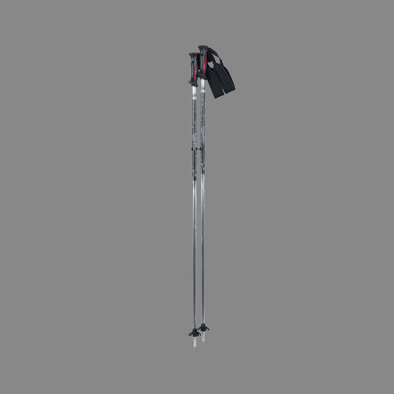 Flexible And Adjustable Cross-Country Ski Poles