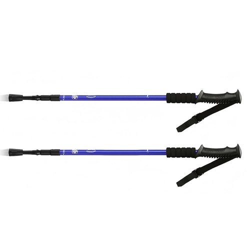 Adjustable Folding Outdoor Ski Poles