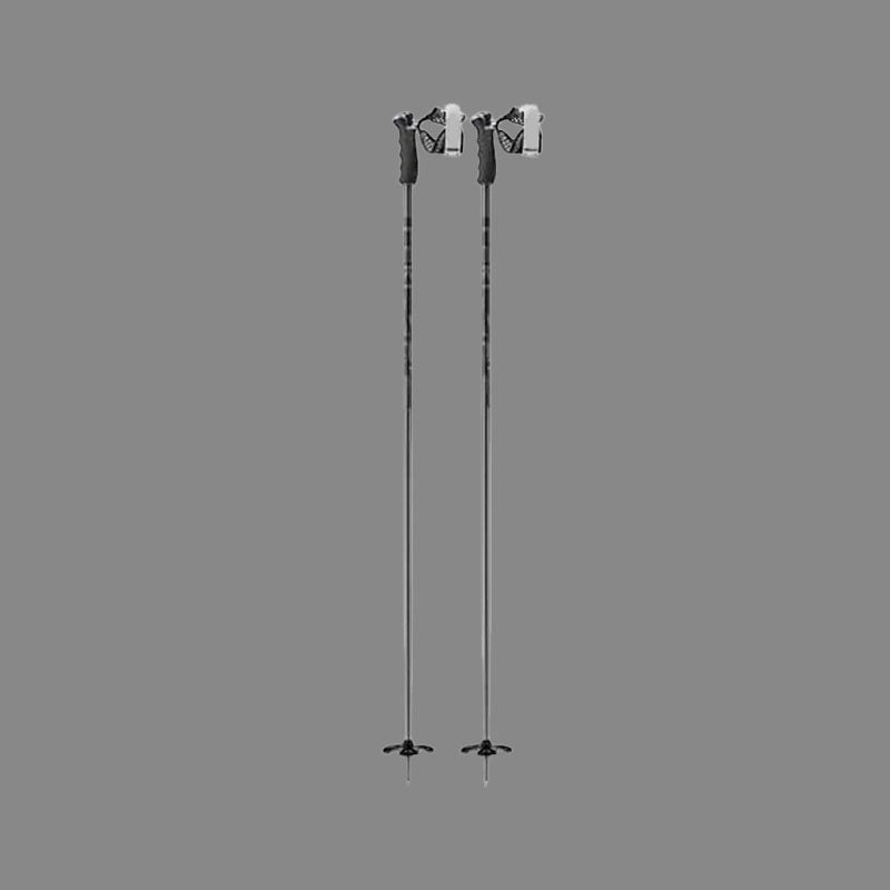 Flexible And Lightweight Alpine Ski Poles